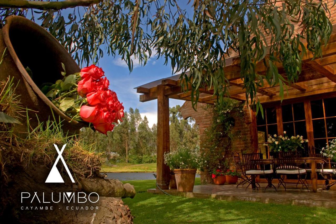 Palumbo Glamping & Villas Cayambe Buitenkant foto