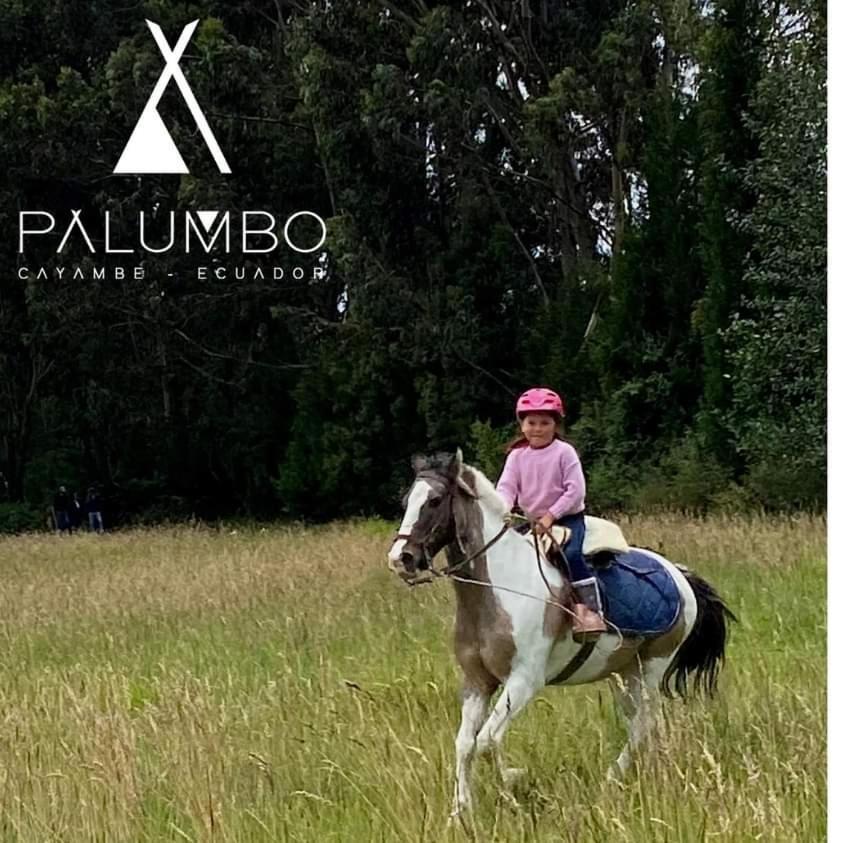 Palumbo Glamping & Villas Cayambe Buitenkant foto