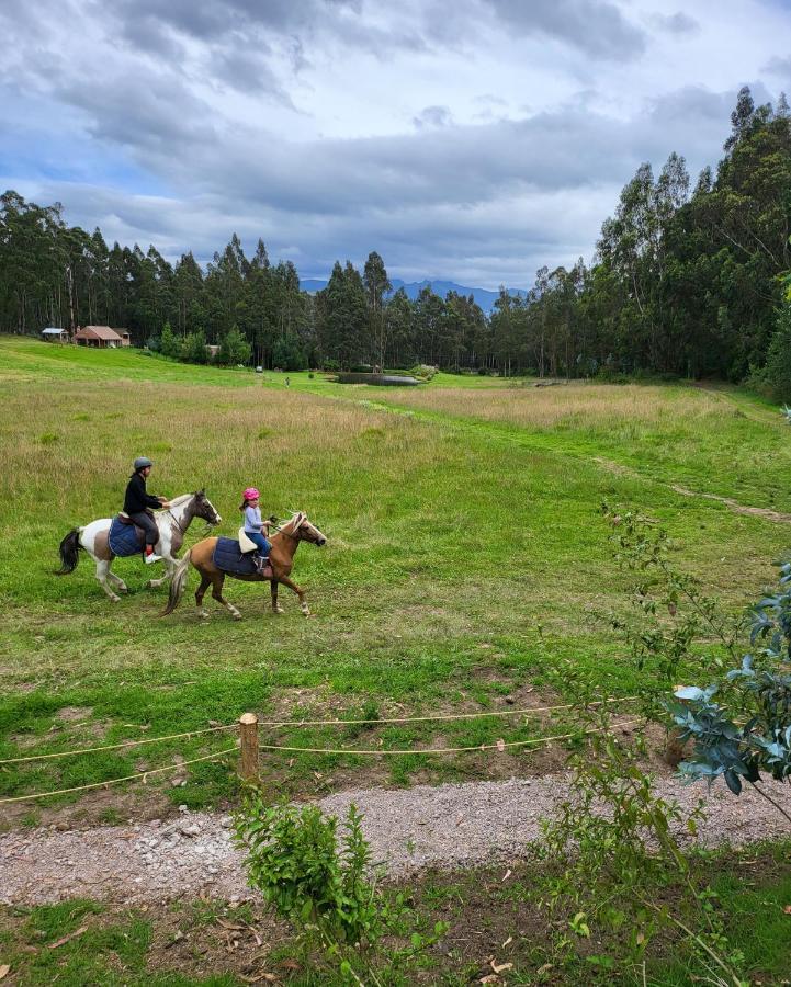 Palumbo Glamping & Villas Cayambe Buitenkant foto